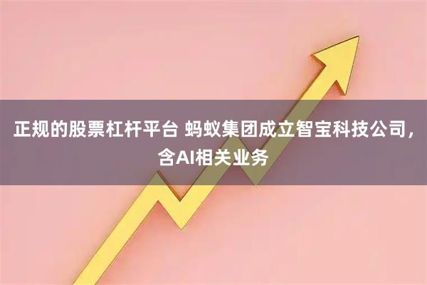 正规的股票杠杆平台 蚂蚁集团成立智宝科技公司，含AI相关业务